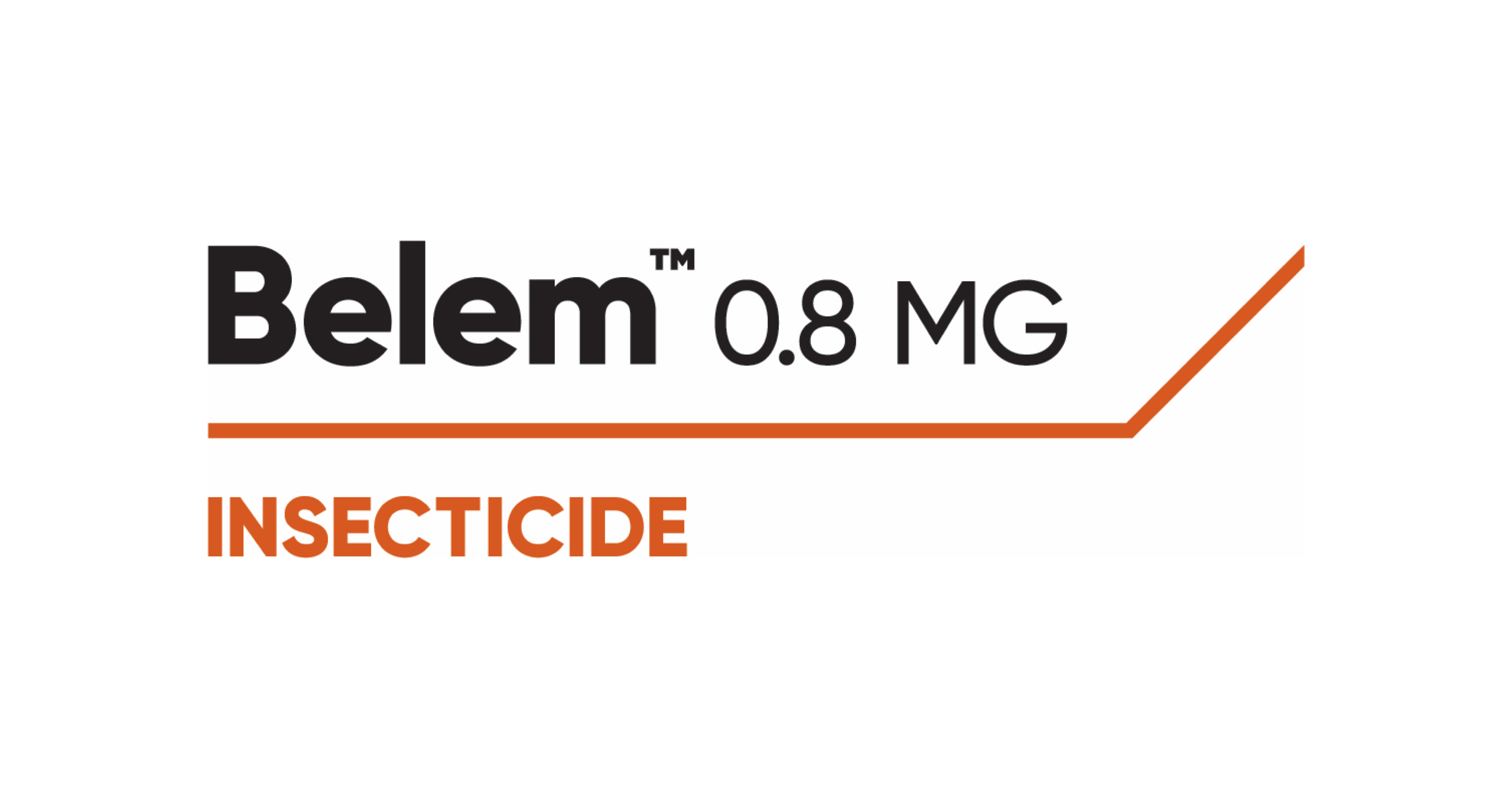 belem-padding